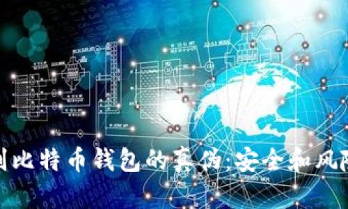 如何辨别比特币钱包的真伪：安全和风险大揭秘
