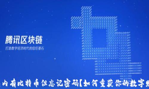 
钱包内有比特币但忘记密码？如何重获你的数字财富？