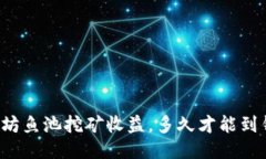 以太坊鱼池挖矿收益，多