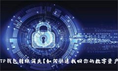 TP钱包转账消失？如何快速