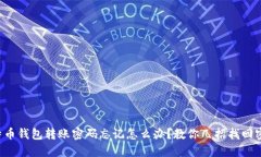 比特币钱包转账密码忘记