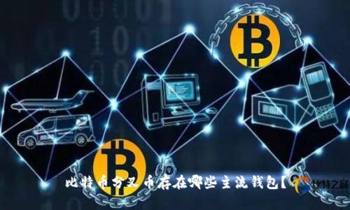 比特币分叉币存在哪些主流钱包？