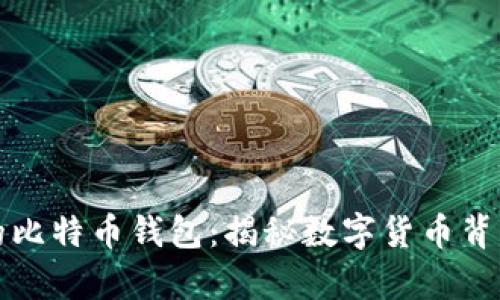 被反复覆盖的比特币钱包：揭秘数字货币背后的安全隐患