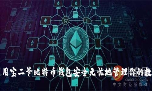 如何使用宝二爷比特币钱包安全无忧地管理你的数字资产