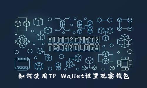 如何使用TP Wallet设置观察钱包