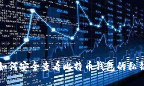 如何安全查看比特币钱包的私钥