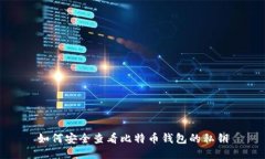 如何安全查看比特币钱包