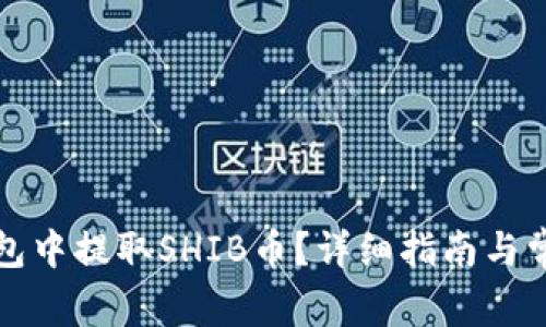 如何在TP钱包中提取SHIB币？详细指南与常见问题解答