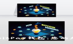 如何下载并使用BitPay钱包