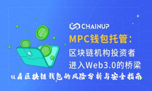 u盾区块链钱包的风险分析与安全指南