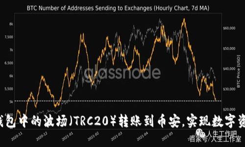  轻松将TP钱包中的波场（TRC20）转账到币安，实现数字资产自由流动
