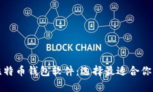 全面解析比特币钱包软件：选择最适合你的数字钱包