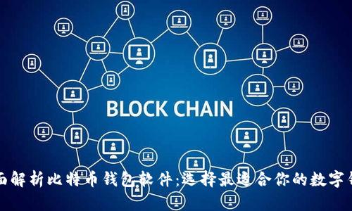 全面解析比特币钱包软件：选择最适合你的数字钱包