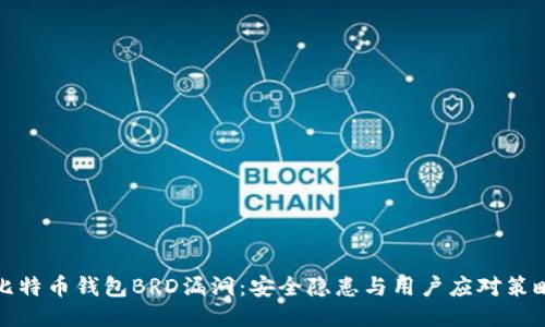 比特币钱包BRD漏洞：安全隐患与用户应对策略