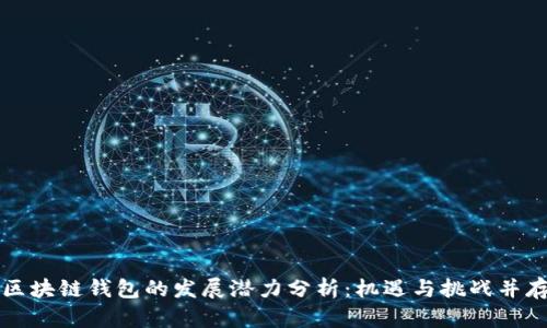 区块链钱包的发展潜力分析：机遇与挑战并存