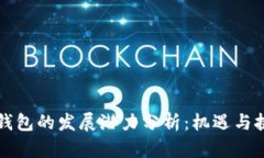 区块链钱包的发展潜力分