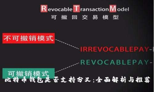 比特币钱包是否支持分叉：全面解析与推荐