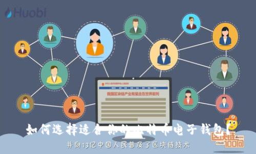 如何选择适合你的比特币电子钱包？