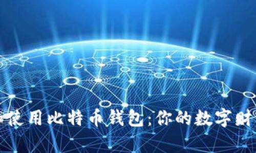 如何选择和使用比特币钱包：你的数字财富保护指南