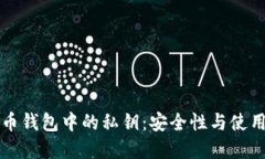 比特币钱包中的私钥：安