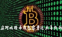 如何应对比特币钱包容量