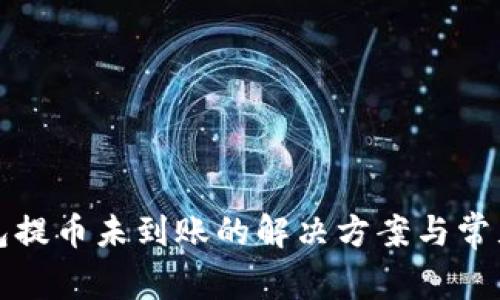 TP钱包提币未到账的解决方案与常见问题