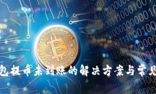 TP钱包提币未到账的解决方案与常见问题