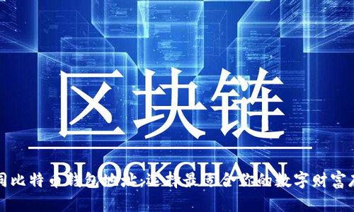 探索不同比特币钱包地址：选择最适合你的数字财富存储方式