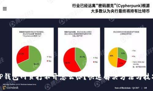 TP钱包网页打不开怎么办？快速解决方法与技巧