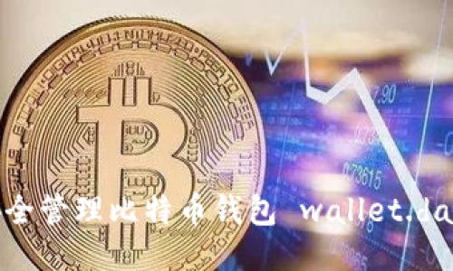 如何安全管理比特币钱包 wallet.dat 文件
