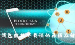比特币钱包数据下载慢的