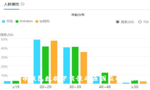 比特币钱包数据下载慢的原因及解决办法