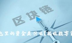 区块链钱包里的资金是什