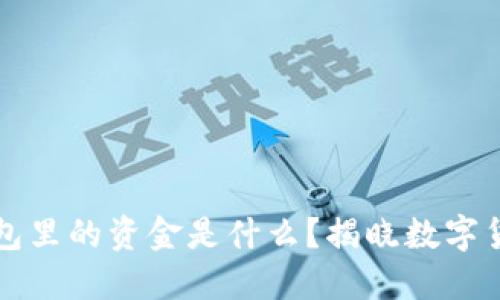 区块链钱包里的资金是什么？揭晓数字货币的秘密