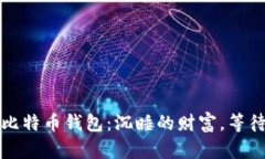 十年未动的比特币钱包：