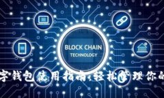 虚拟币数字钱包使用指南