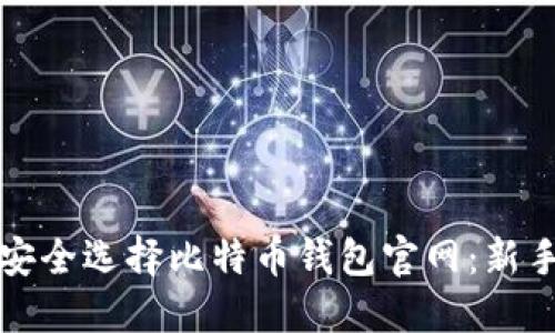 如何安全选择比特币钱包官网：新手指南