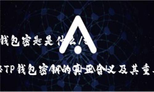 t p钱包密匙是什么/t

揭秘TP钱包密钥的真正含义及其重要性