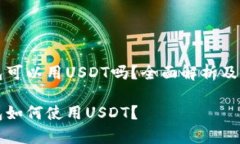 极客钱包可以用USDT吗？全
