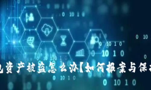 TP钱包资产被盗怎么办？如何报案与保护资产