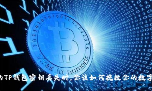 当你的TP钱包密钥丢失时，你该如何挽救你的数字资产？