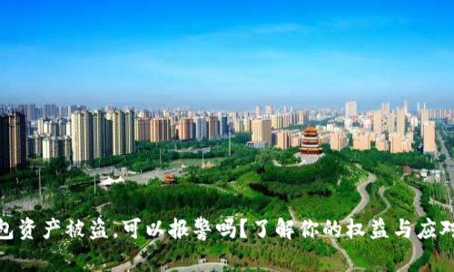 TP钱包资产被盗，可以报警吗？了解你的权益与应对措施