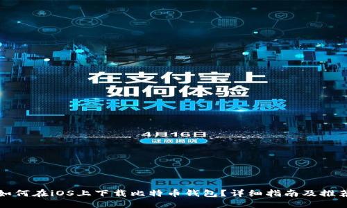 如何在iOS上下载比特币钱包？详细指南及推荐