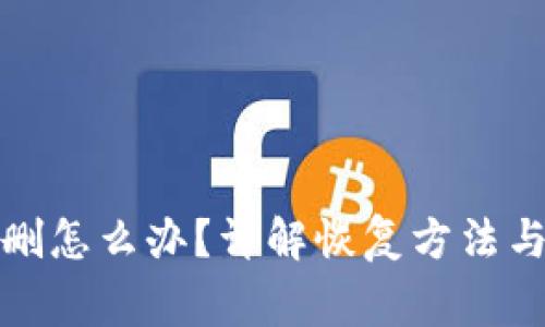 TP钱包误删怎么办？详解恢复方法与注意事项