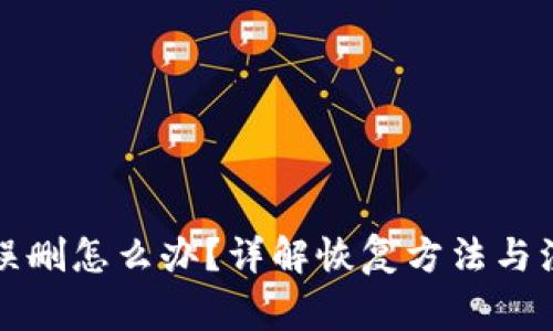TP钱包误删怎么办？详解恢复方法与注意事项