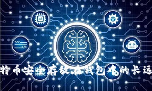 将比特币安全存放在钱包中的长远战略