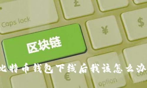 比特币钱包下线后我该怎么办？