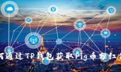 如何通过TP钱包获取Pig币分