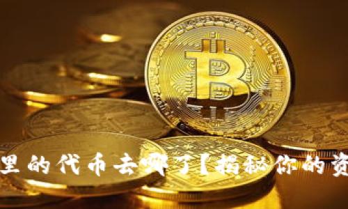 TP钱包里的代币去哪了？揭秘你的资产去向
