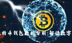 深入探讨比特币钱包数据